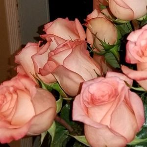 Meet your Posher, Ruslana